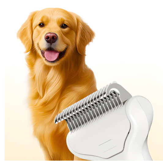 PawPerfect 🐾 - Grooming Comb